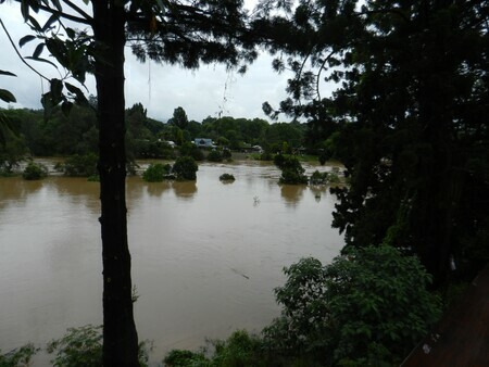 Bellinger river flooding