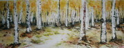 Birch Trees--Autumn