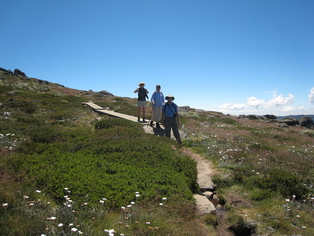 Climbing to the top of Australia