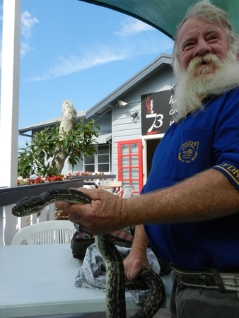 Coastal Python with owner