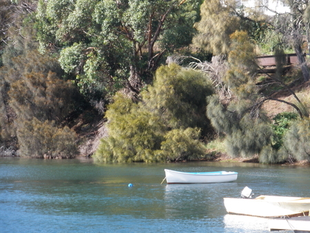 Snug Ferry Dock to Bruny